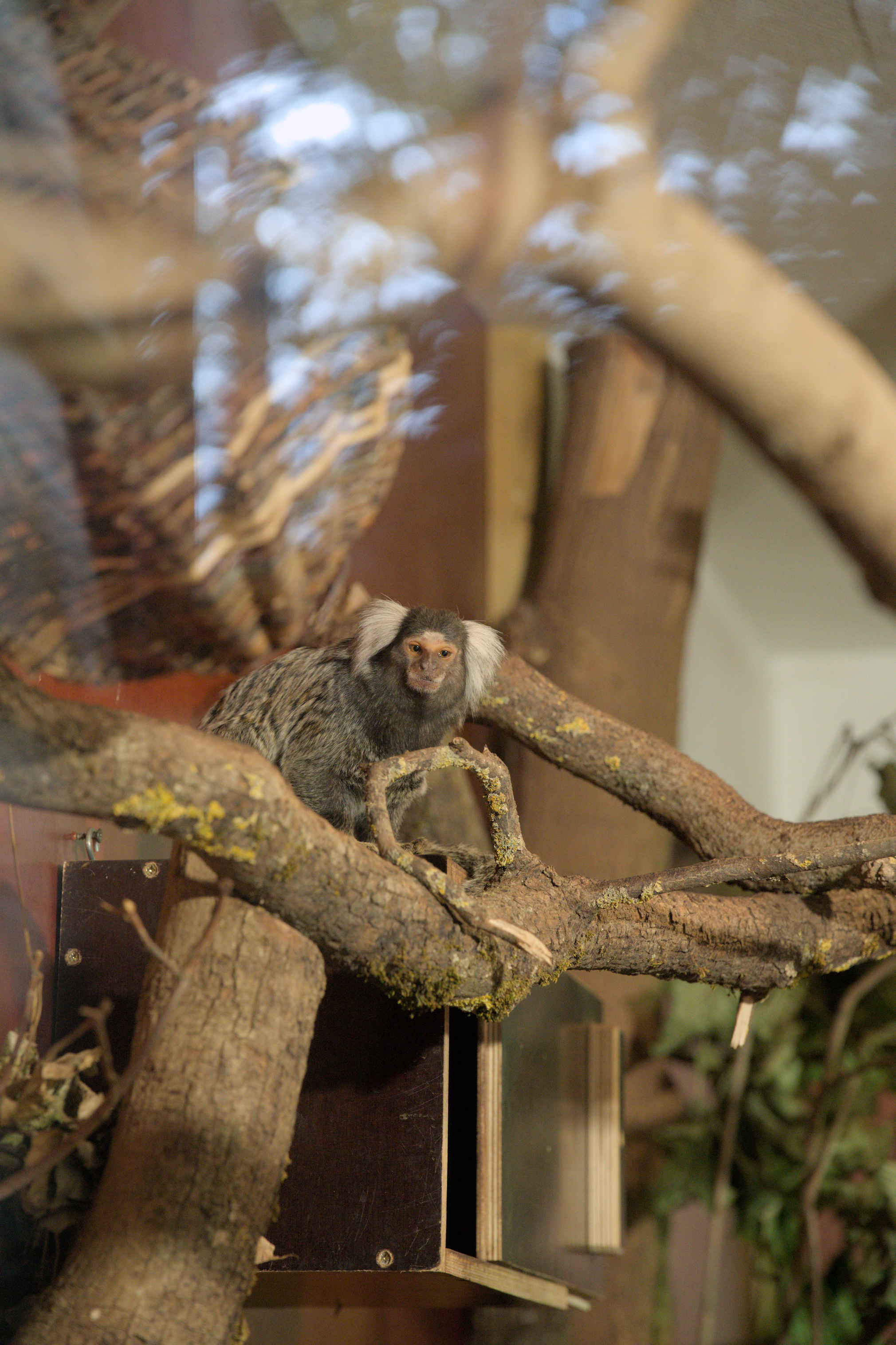 2025/10/12 - zoo/DSC_0102.jpg